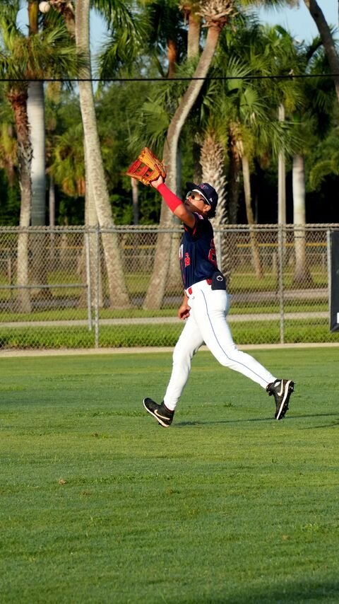 Player catching the ball in the outfield